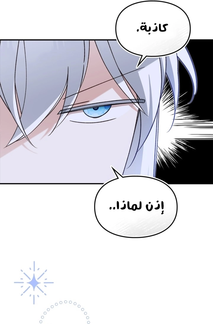 صفحة 27