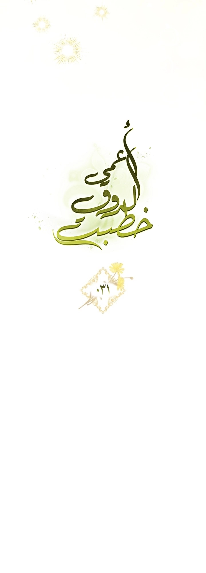 صفحة 17