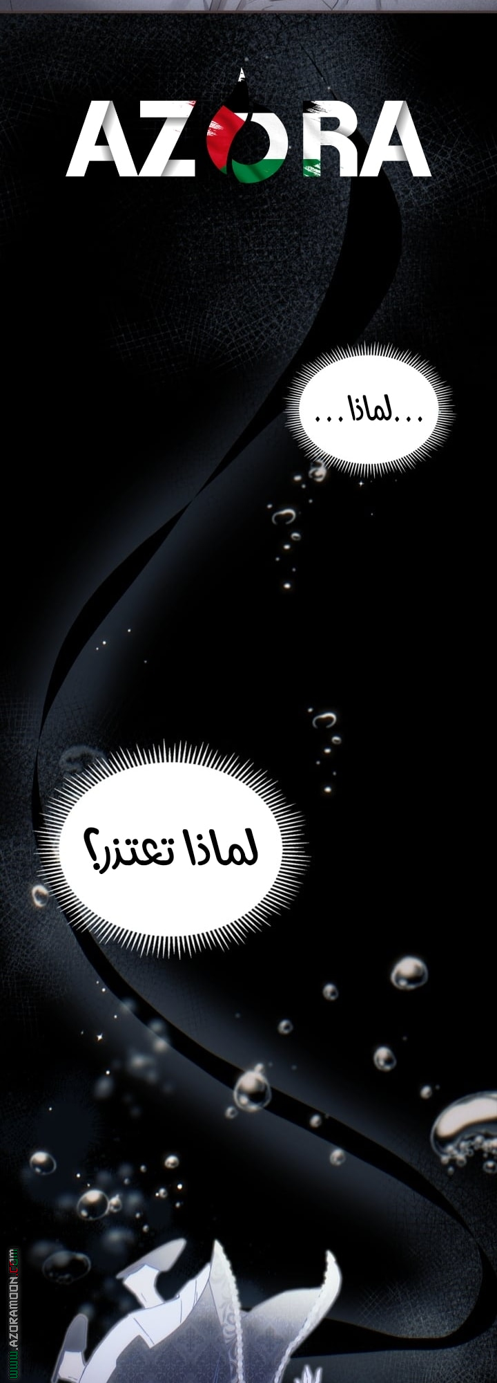 صفحة 17