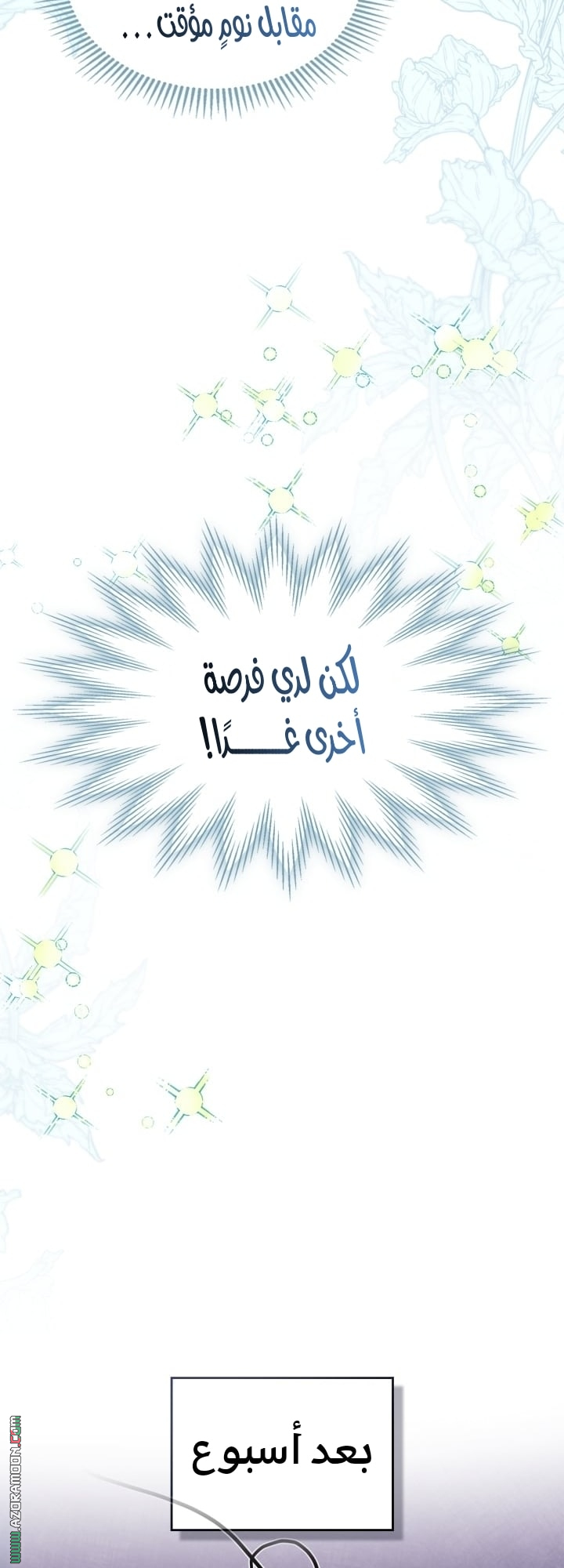 صفحة 41