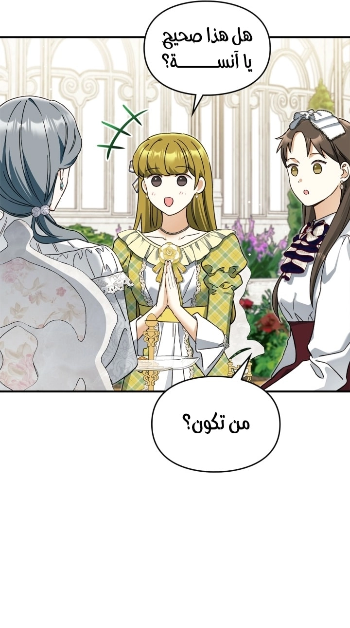 صفحة 13