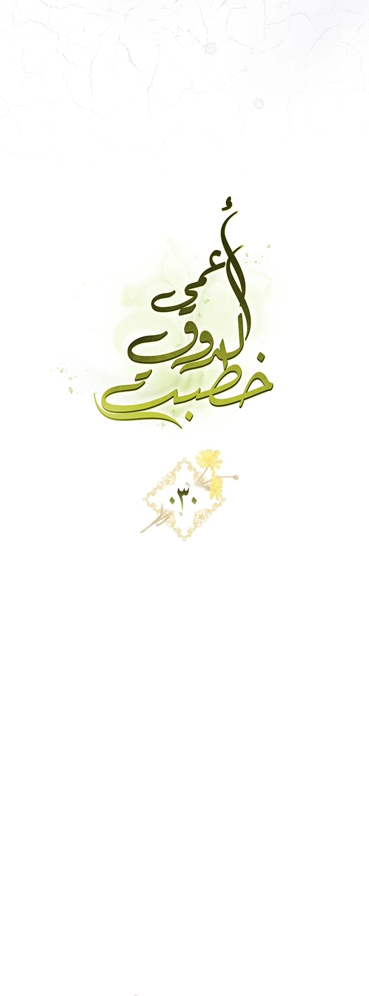 صفحة 18