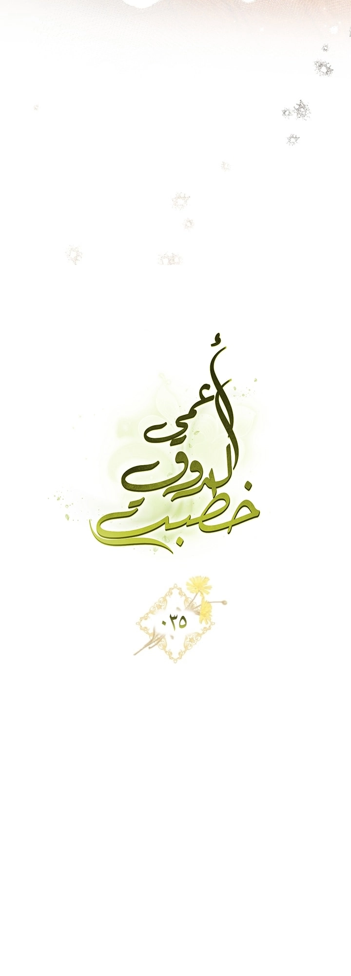 صفحة 17