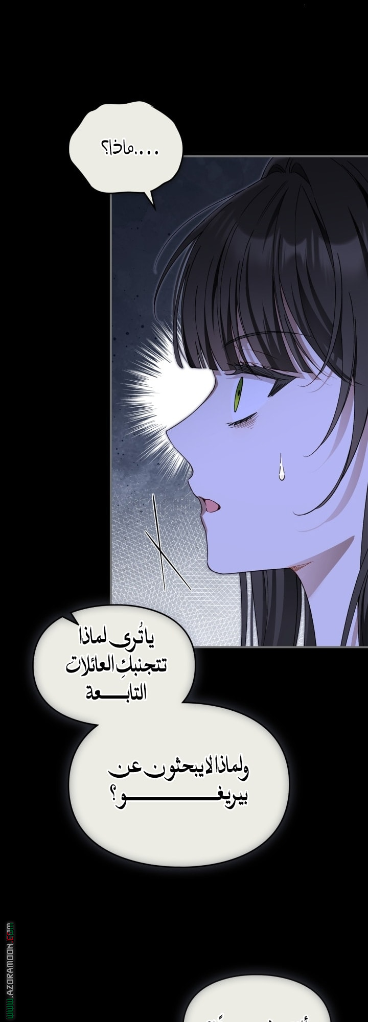 صفحة 12