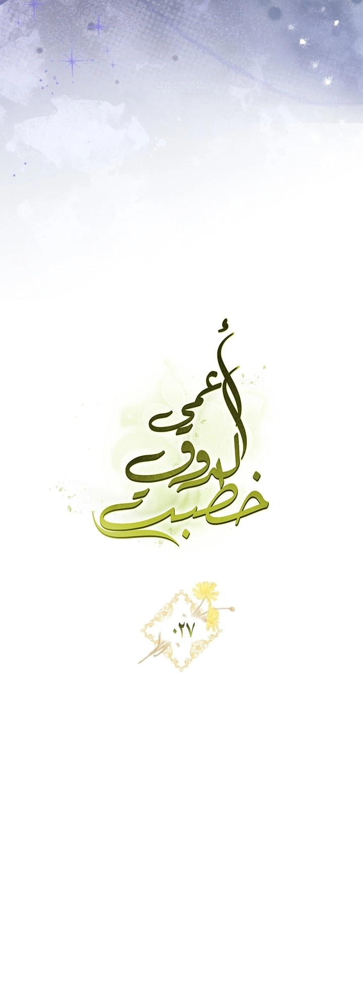 صفحة 17
