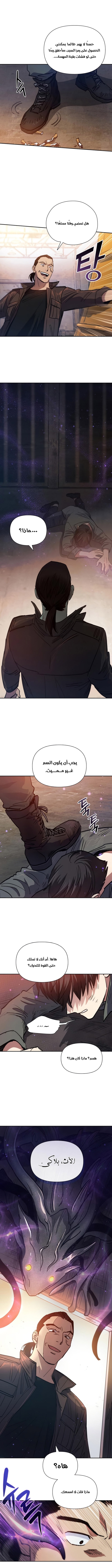 صفحة 13