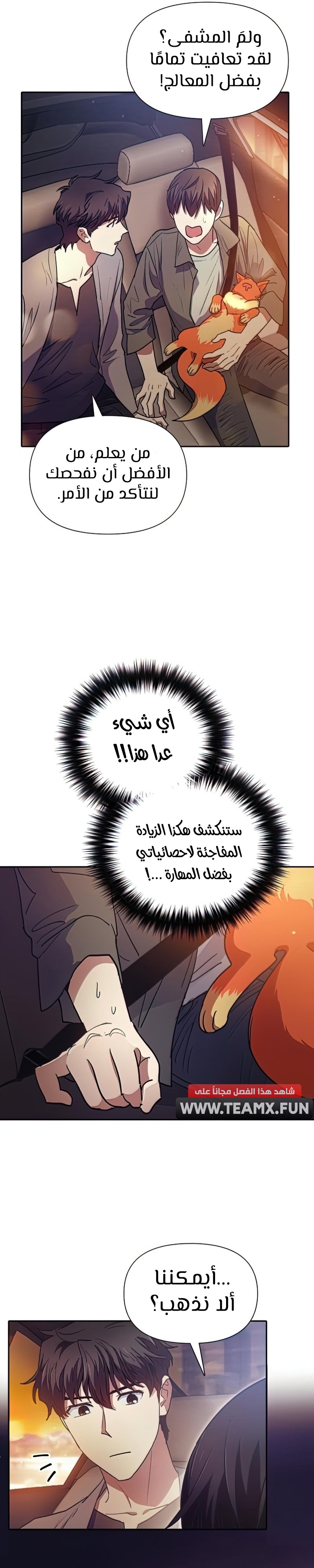 صفحة 13
