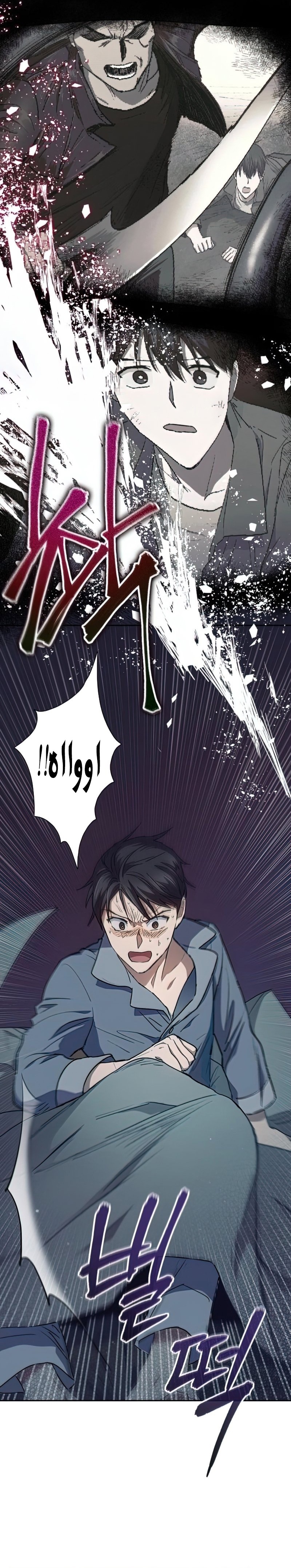 صفحة 17